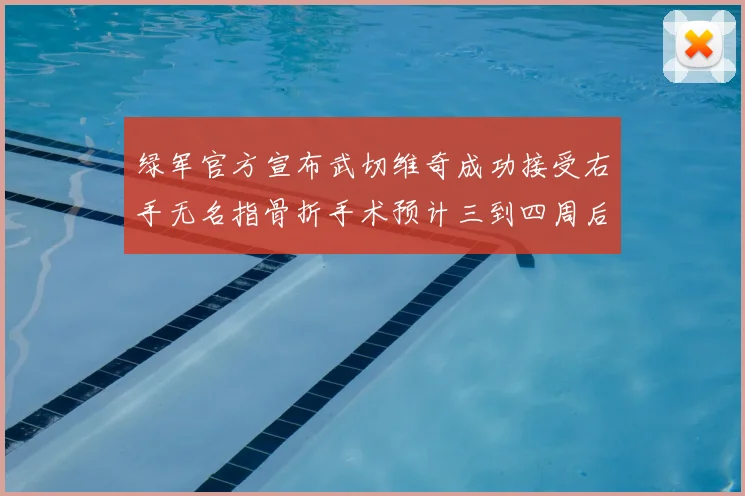 绿军官方宣布武切维奇成功接受右手无名指骨折手术预计三到四周后复查