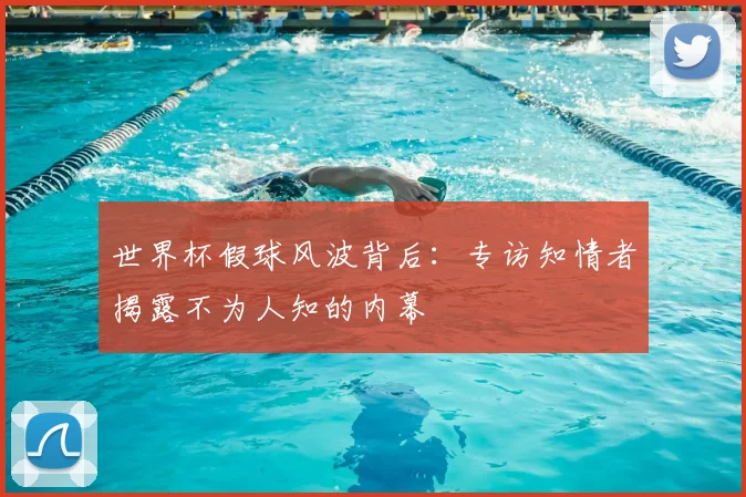 世界杯假球风波背后：专访知情者揭露不为人知的内幕