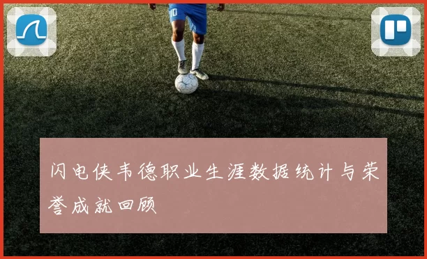 闪电侠韦德职业生涯数据统计与荣誉成就回顾