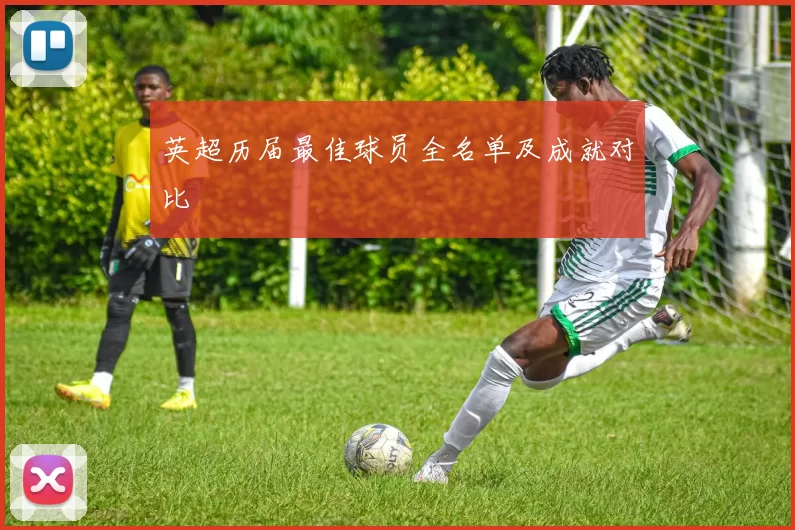 英超历届最佳球员全名单及成就对比