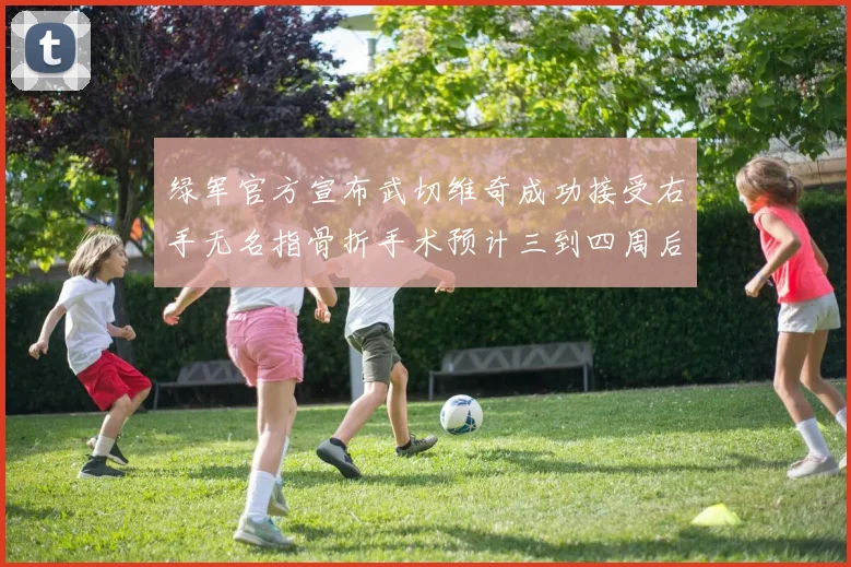 绿军官方宣布武切维奇成功接受右手无名指骨折手术预计三到四周后复查
