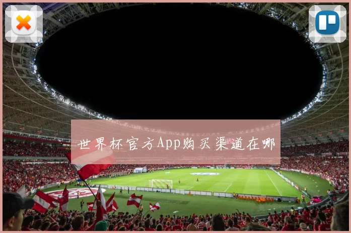 世界杯官方App购买渠道在哪