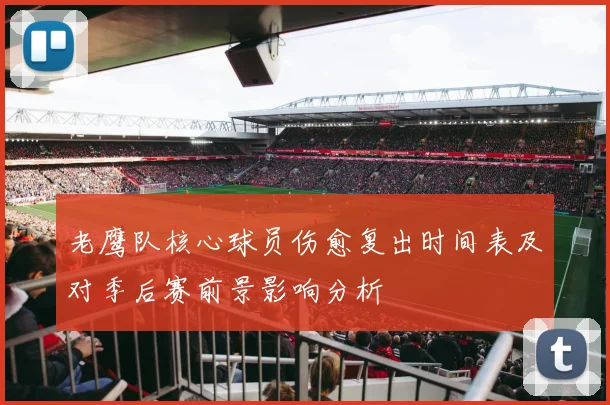 老鹰队核心球员伤愈复出时间表及对季后赛前景影响分析
