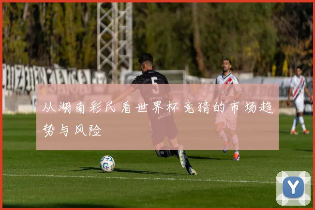 从湖南彩民看世界杯竞猜的市场趋势与风险