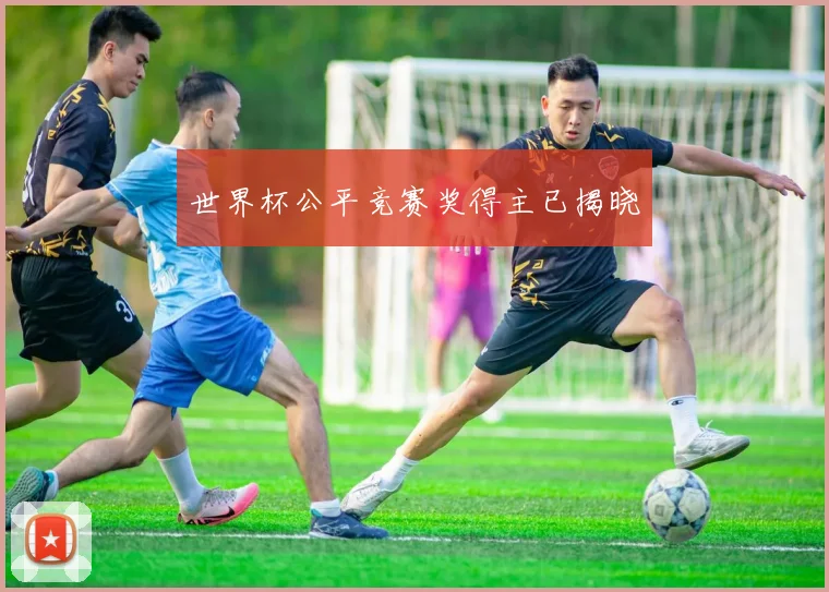 世界杯公平竞赛奖得主已揭晓