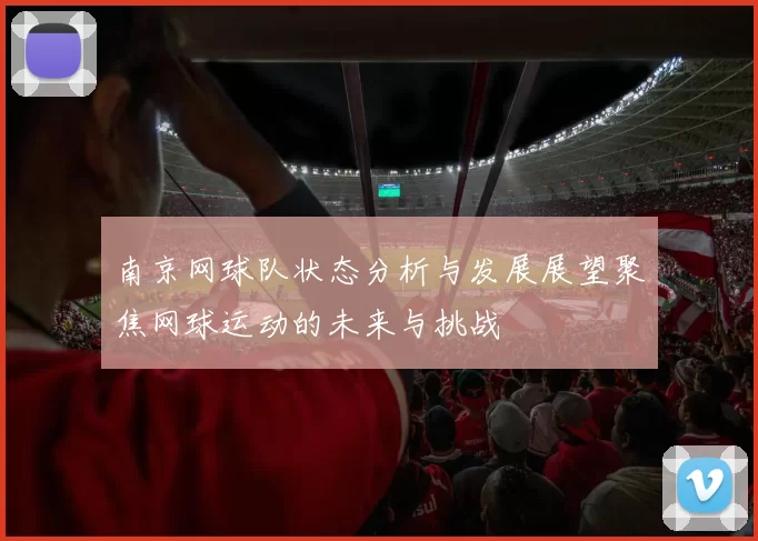 南京网球队状态分析与发展展望聚焦网球运动的未来与挑战
