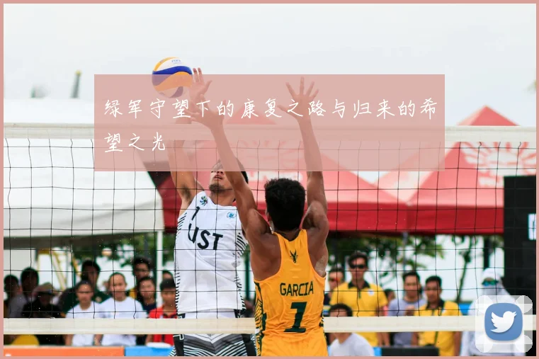 绿军守望下的康复之路与归来的希望之光