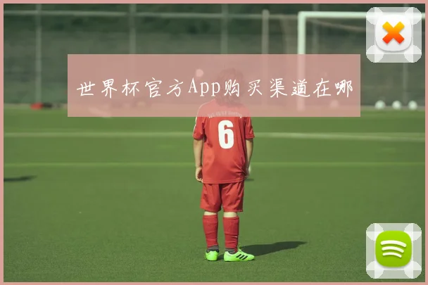 世界杯官方App购买渠道在哪